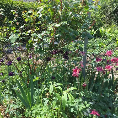 An Der Pferdsweide Appartement