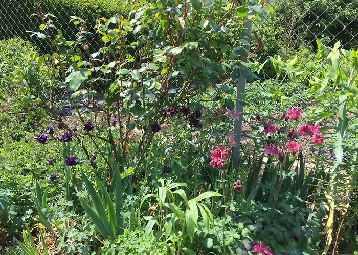 An Der Pferdsweide Lejlighed